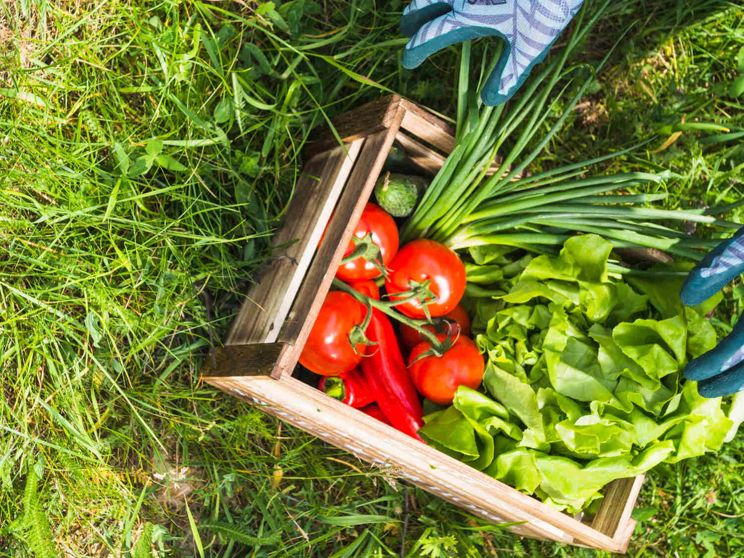 Agricultural Products